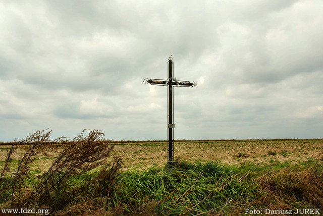 Plik:Krzyż przy polnej drodze Sułoszowa - Przeginia.JPG