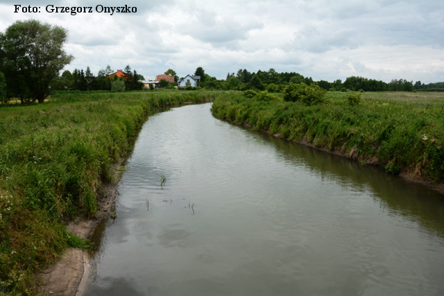Plik:Szczekociny rzeka Pilica 02.JPG