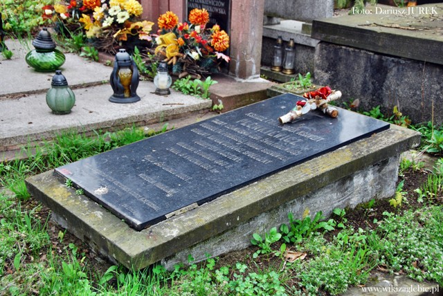 Plik:Sosnowiec cmentarz katolicki ul. Smutna Franciszek Ksawery Plenkiewicz 01.JPG