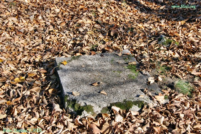 Plik:Sosnowiec-Milowice Cmentarz żydowski 016.JPG