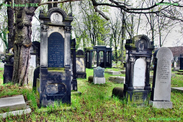 Plik:Sosnowiec Cmentarz żydowski 044.JPG