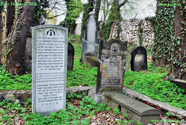Plik:Sosnowiec Cmentarz żydowski 041.JPG