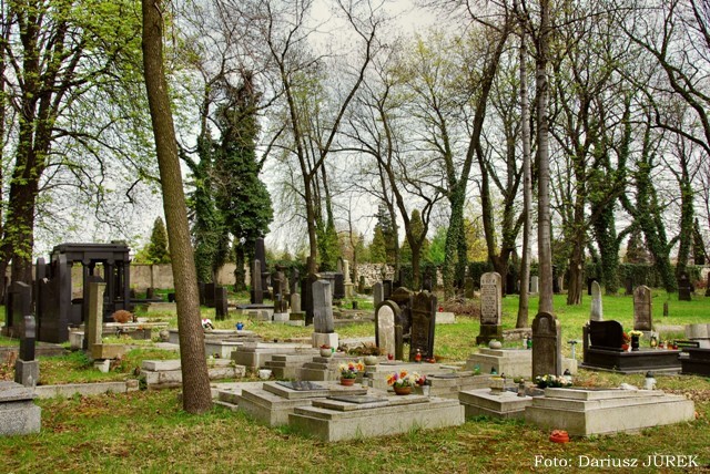 Plik:Cmentarz żydowski Sosnowiec 07.JPG