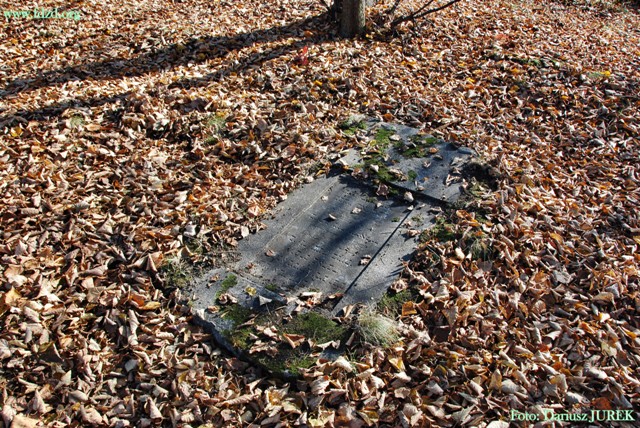 Plik:Sosnowiec-Milowice Cmentarz żydowski 006.JPG