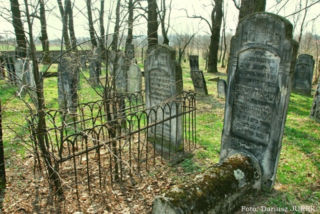 Plik:Cmentarz żydowski Sławków 04.JPG