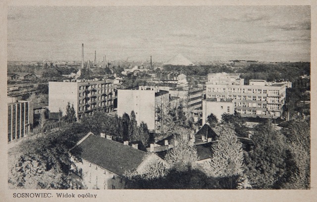 Plik:1945 Sosnowiec Widok Ogolny w tle widoczna halda huty. G.Onyszko.jpg