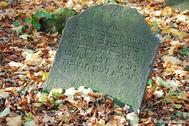 Plik:Cmentarz żydowski w Będzinie 08.JPG