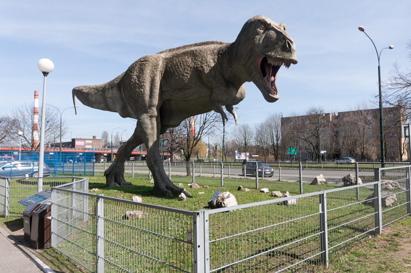 Plik:Tyranozaur Zuzia w Sosnowcu 0001.jpg