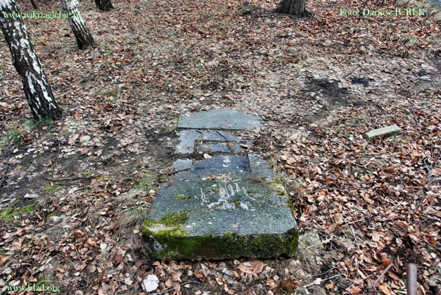 Plik:Sosnowiec-Milowice Cmentarz żydowski 037.JPG