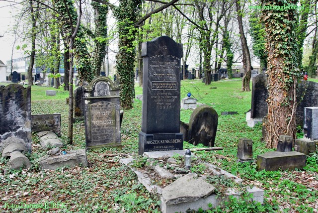 Plik:Sosnowiec Cmentarz żydowski 036.JPG