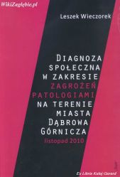 Diagnoza zagrożeń patologiami Dąbrowa Górnicza.jpg