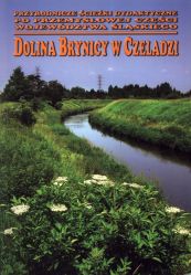 Dolina Brynicy w Czeladzi.jpg