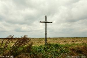 Krzyż przy polnej drodze Sułoszowa - Przeginia.JPG
