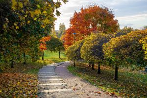 Park Środula Sosnowiec 8904.jpg