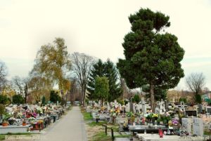 Cmentarz katolicki przy ul. 11 Listopada w Sosnowcu-Pekinie 002.JPG