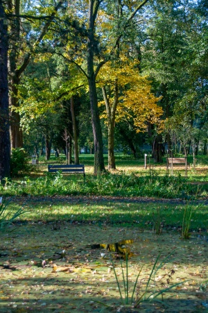 Park Bioróżnorodności w Sosnowcu.jpg