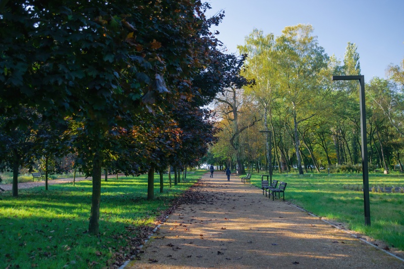Plik:Park bioróżnorodności Fusińskiego, Sosnowiec, jesień.jpg
