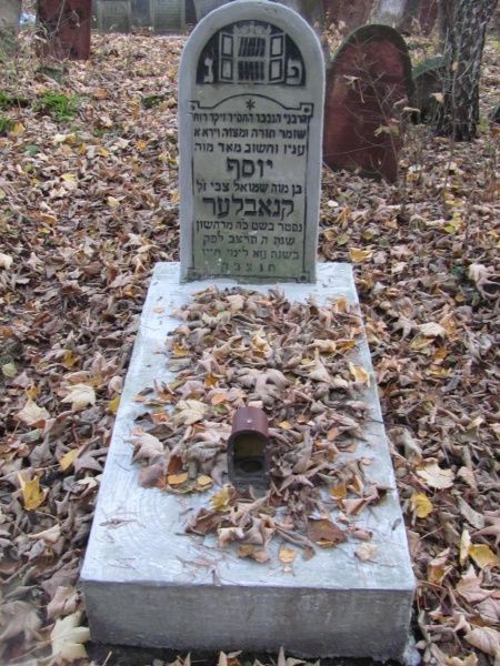 Plik:Pilica - cmentarz żydowski (5).jpg