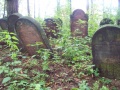 Pilica - cmentarz żydowski (7).jpg