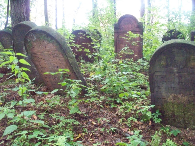 Plik:Pilica - cmentarz żydowski (7).jpg