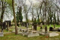 Cmentarz żydowski Sosnowiec 07.JPG