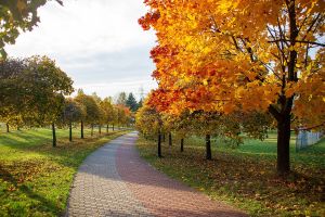 Park Środula Sosnowiec 8895.jpg