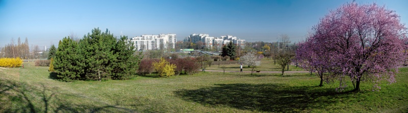 Srodula Sosnowiec Panorama.jpg