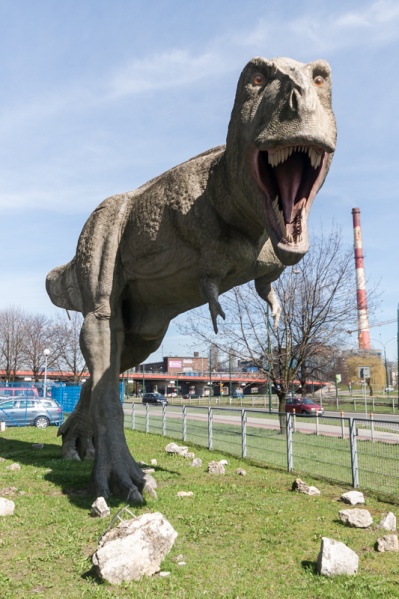 Plik:Tyranozaur Zuzia w Sosnowcu 0002.jpg