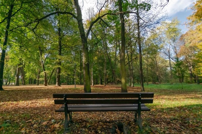 Plik:Ławeczka w Parku Schoena przy Muzeum w Sosnowcu.jpg