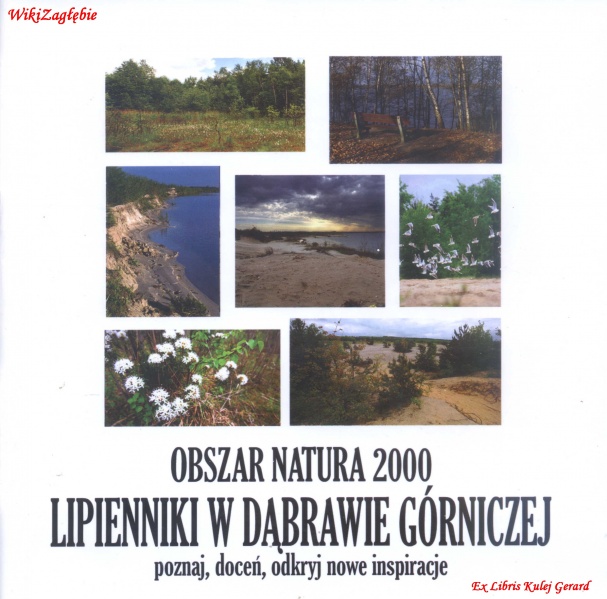 Plik:Obszar Natura 2000 Lipienniki w DG.jpg