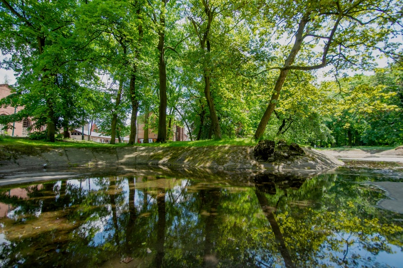 Plik:Oczko wodne w Parku Dietla w Sosnowcu.jpg