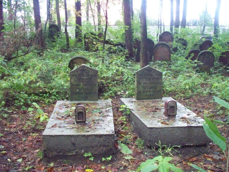 Plik:Pilica - cmentarz żydowski (6).jpg