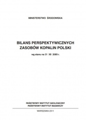 Bilans kopalin w Polsce 2009.jpg