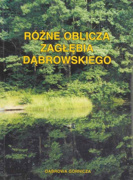 Plik:Różne oblicza Zagłębia Dąbrowskiego.jpg