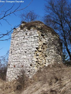 Dąbrowa Górnicza-Ząbkowice. Ruiny wapiennika przy ul.Górzystej. 03.jpg