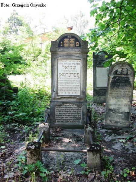 Plik:Zawiercie. Cmentarz Żydowski (Kirkut)-groby.02.JPG