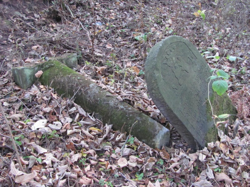 Plik:Pilica - cmentarz żydowski (4).jpg