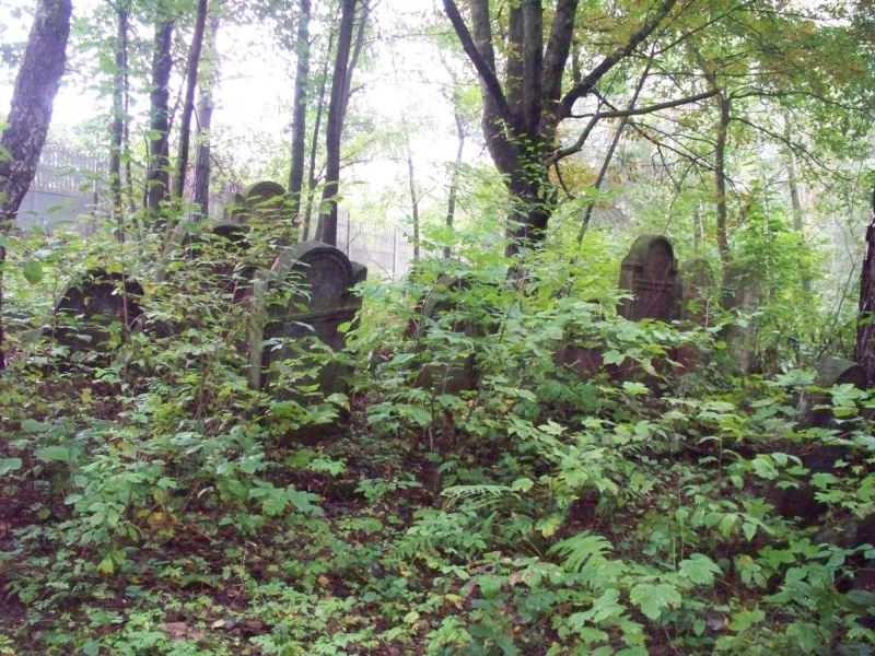 Plik:Pilica - cmentarz żydowski (2).jpg