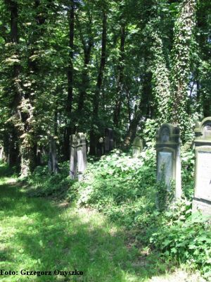 Zawiercie. Cmentarz Żydowski (Kirkut).08.JPG