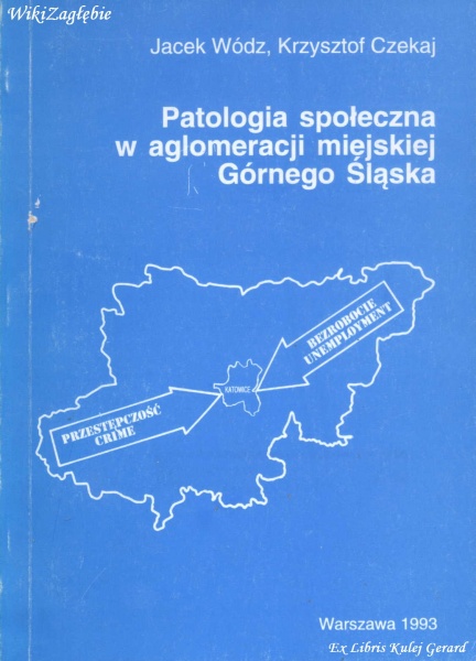 Plik:Patologia społeczna w aglomeracji miejskiej regionu G Śl.jpg