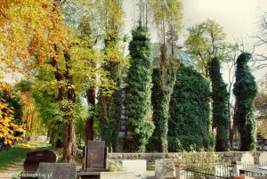 Sosnowiec Cmentarz ewangelicki 003.JPG