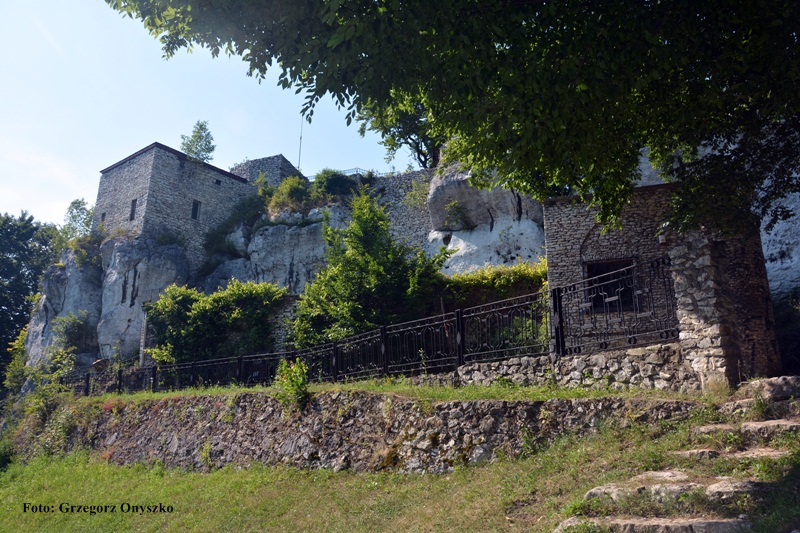 Plik:Morsko. Ruiny zamku Bakowiec. Foto. Grzegorz Onyszko. 02.JPG