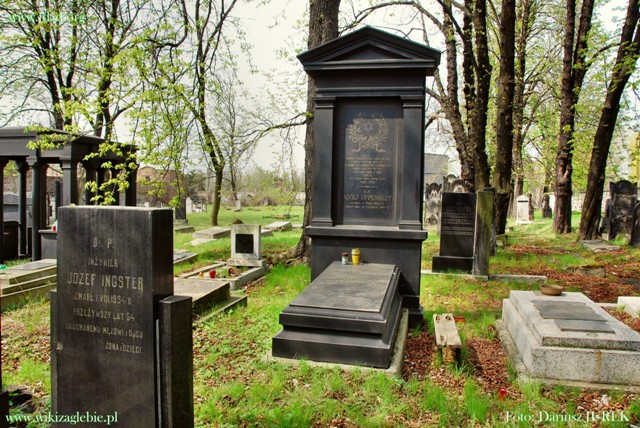 Plik:Sosnowiec Cmentarz żydowski 015.JPG