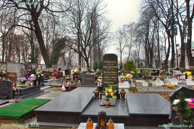 Plik:Sosnowiec Cmentarz ewangelicki 010.JPG