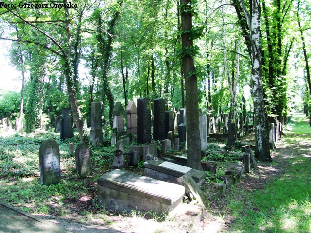 Plik:Zawiercie. Cmentarz Żydowski (Kirkut).04.JPG
