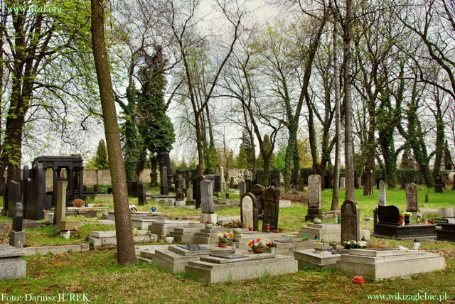 Plik:Sosnowiec Cmentarz żydowski 020.JPG