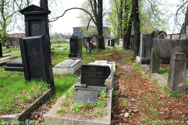 Plik:Sosnowiec Cmentarz żydowski 008.JPG