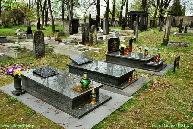 Plik:Sosnowiec Cmentarz żydowski 031.JPG