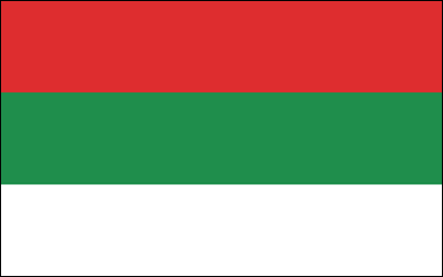 Plik:Flaga Zagłębie Dąbrowskie.gif