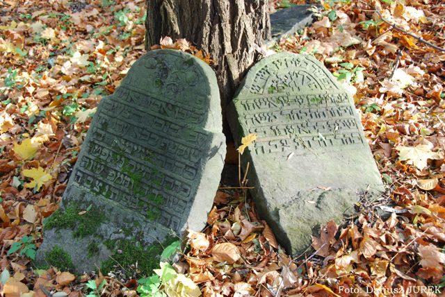 Plik:Cmentarz żydowski w Będzinie 03.JPG